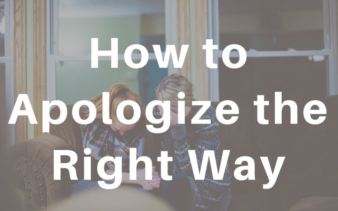 SD Weekly 38: How to Apologize the Right Way