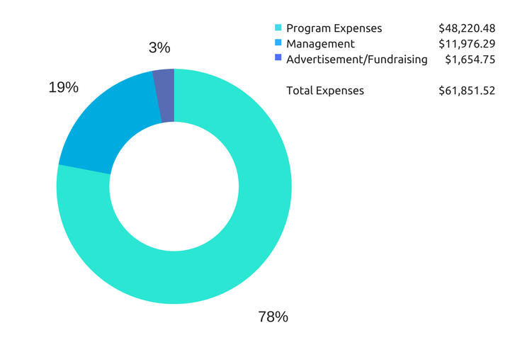 Impact Report & Financial Accountability | The Kenneth Acha Foundation ...